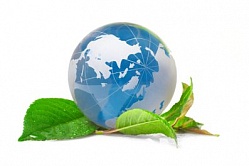 Дистанционное обучение по экологии и экологической безопасности